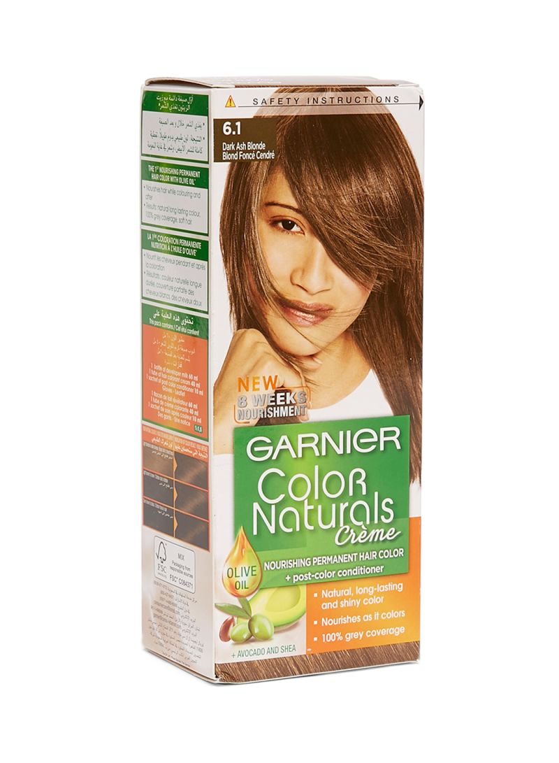 Garnier-Naturals-Hair-Color-Tube-Shade-6.1.jpg