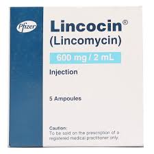 Lincocin 600mg Injection