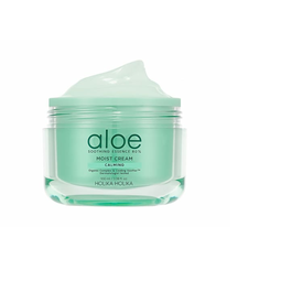 Holika Holika Aloe Soothing Essence 80% Molisturzizing Cream 100ml