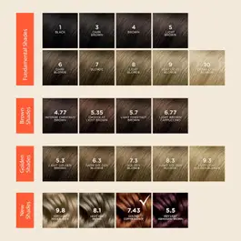 Phyto Color #7.43 Golden Copper Blonde