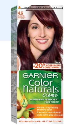Garnier Hair Color Burgundy 4.6