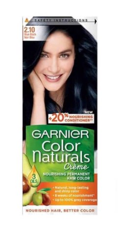 Garnier Hair Color Blue Black 2.1