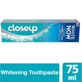 Close Up Toothpaste White Now Ice Cool 75ml