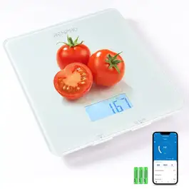 Renpho Smart Food Scale FT-SNG01
