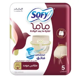 Sofy Mama Post Birth Panties - 5 Pcs