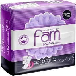 Fam Female Napkins Night Wings Economic 24 pcs