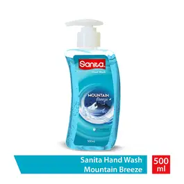 Sanita Hand-Wash Mountbreez 500ml