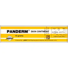 Panderm Ointment 15 gm