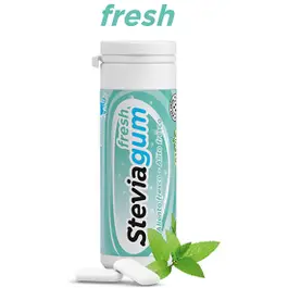 Stevia Gum Fresh Strong Spearmint 30g