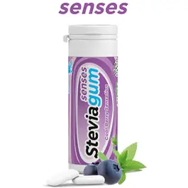 Stevia Gum-Senses Blue Berry Mint 30g