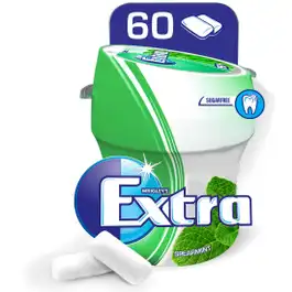 Extra Gum Bottle Sugar free Spearmint Flavor