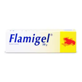 Flamigel Gel 50 gm
